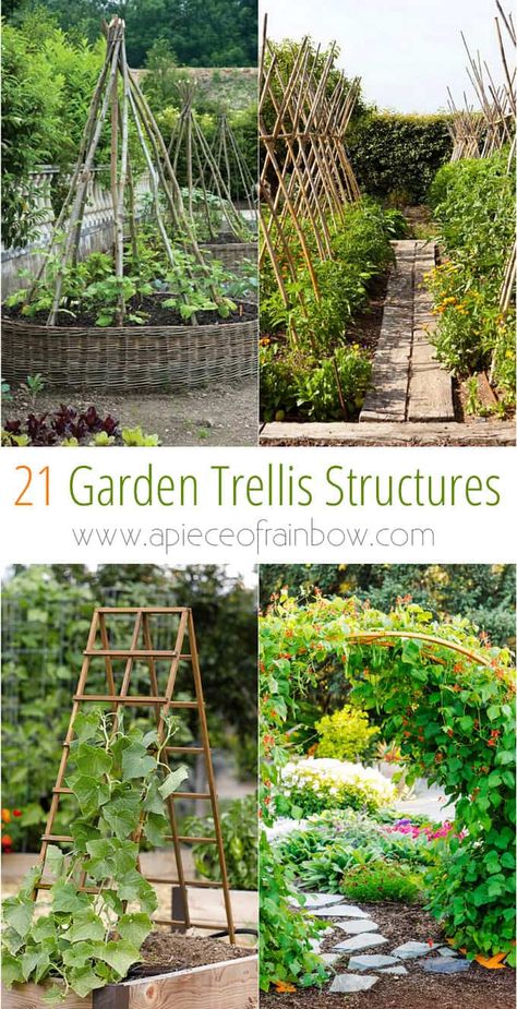 Diy Garden Trellis Ideas, Garden Trellis Ideas, Plantarea Legumelor, Terrace Roof, Vine Trellis, Cucumber Trellis, Diy Garden Trellis, Plant Structure, Trellis Ideas