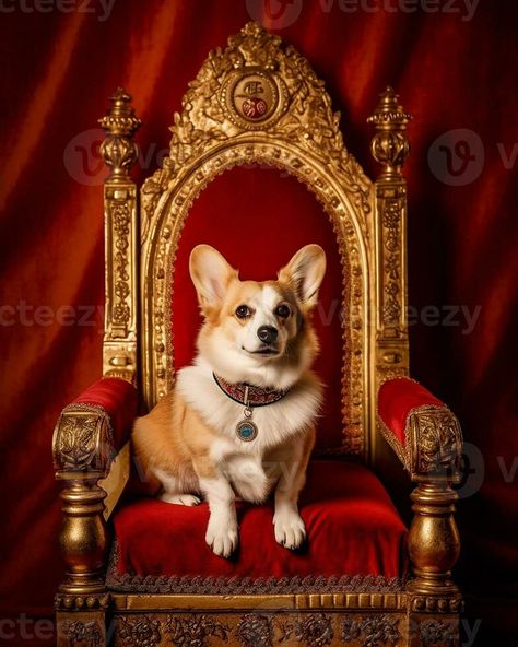 corgi dog in the royal palace AI generated The Royal Palace, Royal Palace, Corgi Dog, Vector Drawing, Free Stock Photos, Palace, Royalty Free Stock Photos, Royalty, Royalty Free