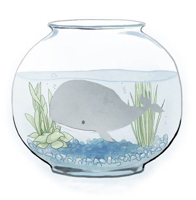 Fish In A Bowl, Fish Bowl, Illustration Inspiration, Whales, Sea Creatures, A Bowl, Art Illustration, The Sea, Doodles