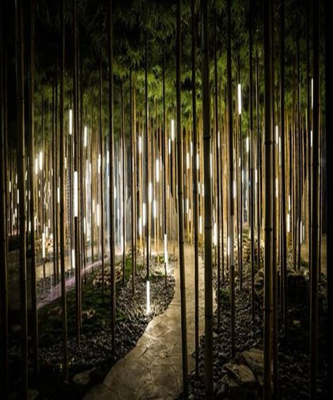 Bamboo Lighting Ideas, Forest Lighting, Light Sculpture Installation, Forest Lights, Bamboo Lighting, Bamboo Decoration, Bamboo Landscape, Bamboo Grove, Forest Light