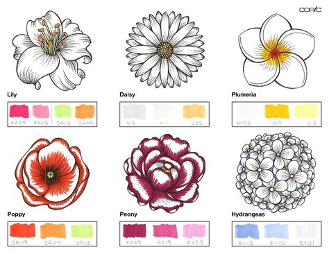 How To Color Flowers With Markers, Copic Marker Flowers, Alcohol Marker Flowers, Marker Techniques, Copic Pens, Copic Marker Art, Copic Art, Marker Paper, Copic Marker