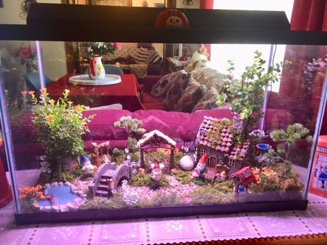 Gnome Village. Things you can make from an old fish tank. Repurposed Fish Tank Ideas, Fairy Garden Fish Tank, Upcycled Fish Tank, Fairy Fish Tank, Old Fish Tank Ideas, Old Fish Tank Repurpose, Fairy Theme Fish Tank, Crystal Terrarium Diy, Cottagecore Fish Tank