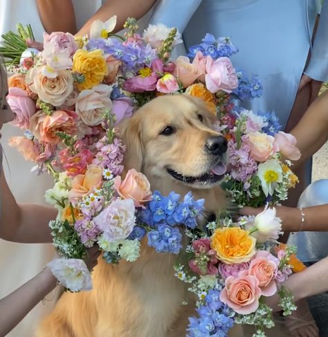 Dog At Wedding Ideas, Dog Wedding Ideas, Dog At Wedding, Nantucket Wedding, Dog Flower, Dog Wedding, Wedding Picture, Bridesmaid Flowers, White Dogs