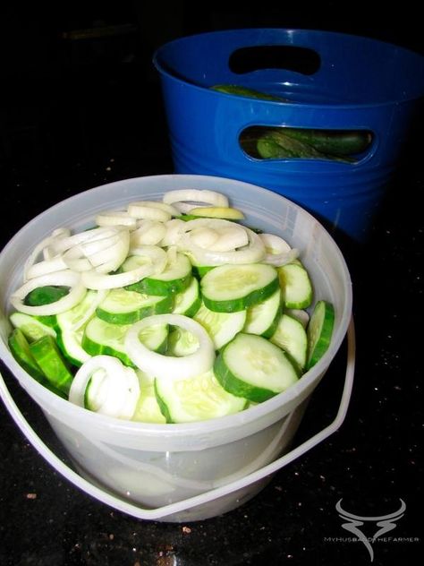 We call these bucket pickles because of how we make them but they're also known as bread and butter pickles, sweet pickles or sweet mustard pickles too.  My favourite way to eat these is on a plain saltine cracker with a piece of marble ... Rhubarb Oatmeal, Saltine Cracker, Bread And Butter Pickles, Raspberry Rhubarb, Butter Pickles, Mustard Pickles, Cucumbers And Onions, Refrigerator Pickles, Pickle Butter