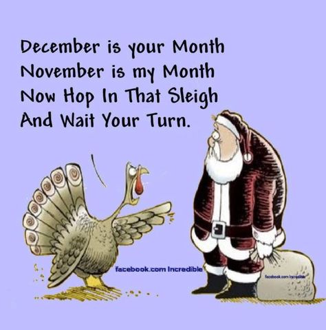 November 1 Christmas Humor, Thanksgiving Humor, Santa Cartoon, Thanksgiving Jokes, Christmas Memes Funny, November Quotes, November Christmas, Fall Humor, Christmas Memes