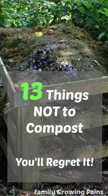 Compost Diy, Starting Garden, Planting Seed, Compost Toilet, Bucket Garden, Backyard Escape, Compost Bin Diy, Poultry Farming, Growing Your Own Food