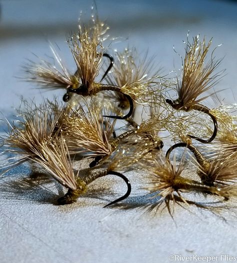 Blue Winged Olive, Steelhead Flies, Fly Fishing Flies Pattern, Mayfly, West Yellowstone, Fly Tying Materials, Saltwater Flies, Fly Patterns, Fly Box