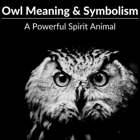 Owl Meaning and Symbolism: A Powerful Spirit Animal - Full Guide 2021 Owl Spirit Animal Meaning, Owl Spirit Animal Art, Owl Meaning, Animal Tattoo Meanings, Owl Tattoo Meaning, Owl Symbolism, Celtic Owl, Cute Owl Tattoo, Spirit Animal Meaning