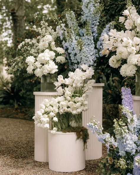 ELLEBORE : Maddy Falvey 🖤 on Instagram: "A dreamy garden ceremony for Casey and Jonathan at the beautiful Lindesay House." Wedding Floral Ideas, Dreamy Garden, Garden Ceremony, Secret Garden Wedding, Garden Weddings Ceremony, Ceremony Design, Reception Inspiration, Aesthetic Decor, January 19