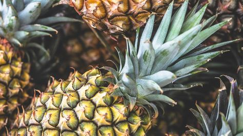 Can You Eat Pineapple Leaves? Potential Benefits and Dangers Skin Juice, Pineapple Diet, Pineapple Tea, Pineapple Health Benefits, Pineapple Leaves, Pineapple Benefits, Pineapple Planting, Growing Healthy Hair, Reactive Oxygen Species