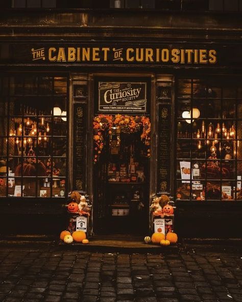 The Cabinet Of Curiosities, Victorian Shop Aesthetic, Cabinet Of Curiosities Art, Oddity Shop Aesthetic, Oddities Shop Aesthetic, Witchcraft Shop Aesthetic, Dark Academia Shop, Cabinets Of Curiosities, Antique Shop Aesthetic Dark