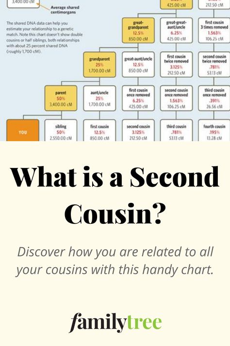 What is a second cousin? How, exactly, are you related to the child of your great-great-grandmother’s son? We’ll explain the steps to calculating cousinhood! Cousin Relationships, Second Cousin, Family History Projects, Marriage Records, Ancestry Family Tree, Family Research, Genealogy Research, Family Genealogy, Calculator