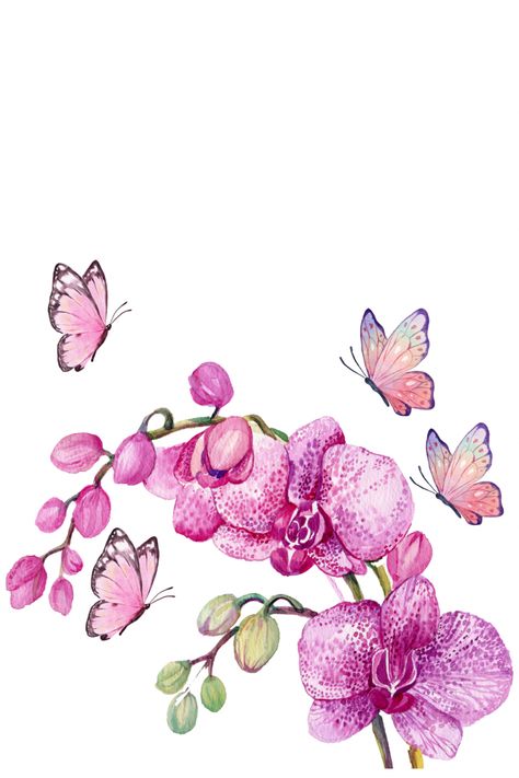 Orchid Aesthetic, Butterfly Embroidery Designs, Wedding Board Ideas, Orchid Watercolor, Watercolor Orchid, Beautiful Inspirational Quotes, Butterfly Orchid, Fabric Styles, Saree Painting