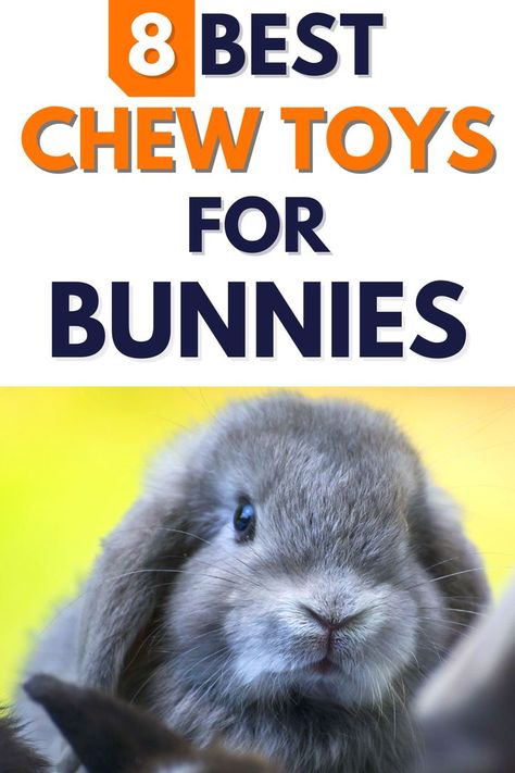 Bunny Chew Toys, Bunny Setup, Rabbit Chew Toys, Animal Rabbit, What Dogs, Setup Ideas, Chew Toy, Buying Guide, Rabbits