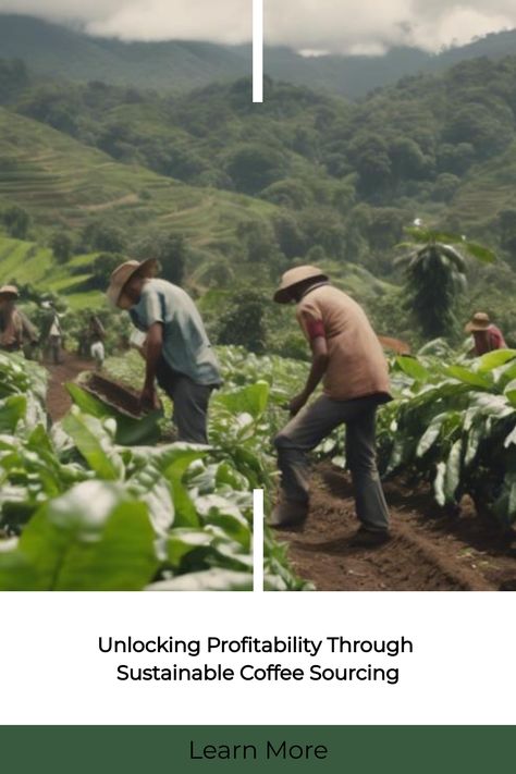 Farmers working in a lush coffee plantation on a hillside. Producers And Consumers, Coffee Farmers, Sustainable Coffee, Coffee Origin, Ethiopian Coffee, Colombian Coffee, Coffee Industry, Environmental Conservation, Economic Growth