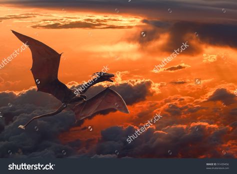 a dragon flying over orange sunset clouds Dragon Pc Wallpaper, Are Dragons Real, Flying Human, Flight Of Dragons, Dragon Fossil, Human Giant, Georges Cuvier, Dragon Flying, Fantasy Short Stories