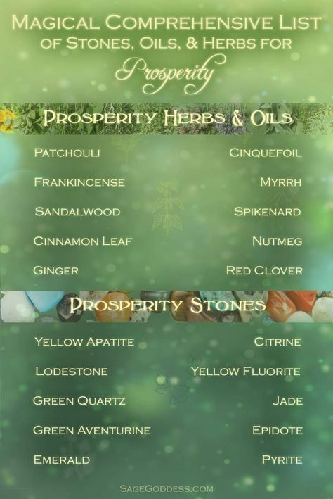 Money Spells That Work, Magickal Herbs, Witch Herbs, Financial Prosperity, Prosperity And Abundance, Magic Herbs, Frankincense Myrrh, Magical Herbs, Money Magic