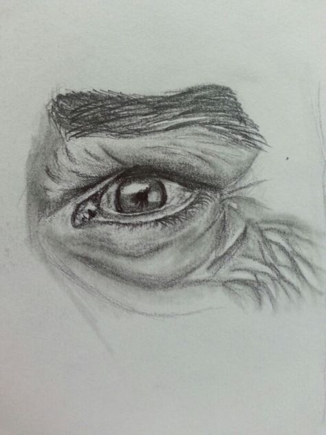 My drawing of old man eye <3 Old Man Eyes Drawing, Old Eyes Drawing, Old Man Face Drawing, Drawing Of Old Man, Man Eyes Drawing, Drawing Of Men, Pisces Painting, Skeleton Art Drawing, Sketching Eyes