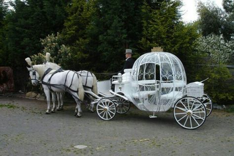 Cinderella horse drawn carriage to transport us from the ceremony to where we'll take pictures at! This is the perfect one!! Horse And Carriage Wedding, Wedding Area, Cinderella's Carriage, Park Chateau, Cinderella Coach, Wedding Transport, Pink Zebra Recipes, Horse Drawn Carriage, Wedding Carriage