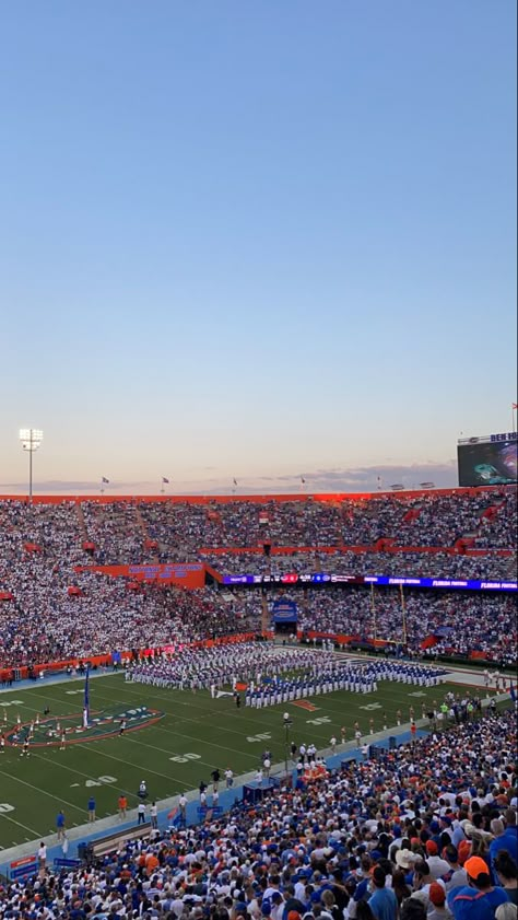 Florida College Aesthetic, Uf Aesthetic, University Of Florida Aesthetic, University Of Florida Campus, College Goals, Life After High School, Colleges In Florida, Florida Gators Football, Best University