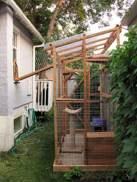 30 Free DIY Catio Plans - DIY Outdoor Cat Enclosure Reban Ayam, Outside Cat Enclosure, Catio Plans, Diy Cat Enclosure, Cat House Plans, Cat Playground Outdoor, Feral Cat House, Cat Patio, Outdoor Cat Enclosure