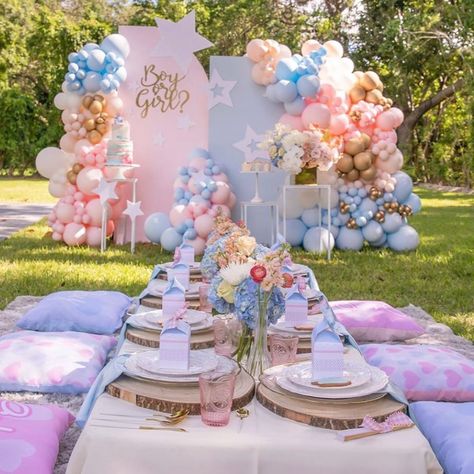 Outdoor Gender Reveal, Gender Reveal Picnic, Best Gender Reveal, Simple Gender Reveal, Baby Gender Reveal Party Decorations, Idee Babyshower, Gender Reveal Party Theme, Gender Reveal Themes, Decoration Evenementielle