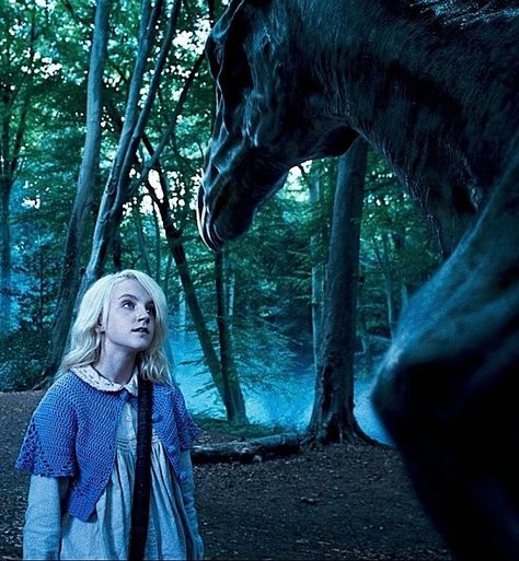 15 Post-Harry Potter Revelations from Pottermore … Luna Lovegood, Phoenix, Harry Potter