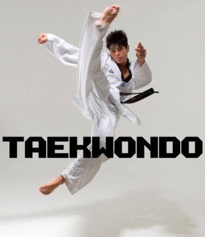 TKD Jump Kick Jump Punch Pose, Jump Kick Pose, Taekwondo Poses, Taekwondo Photography, Kick Pose, Kicking Pose, Horse Motivation, Action Reference, Taekwondo Kick