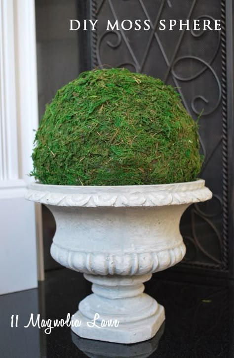 How to make a faux moss sphere--an easy way to add some green back in the house after the holiday greenery is packed away.  From 11 Magnolia Lane. Moss Topiary Diy, Diy Topiary Ball, Fake Moss, Topiary Diy, Diy Moss, Moss Ball, Easy Diys, Faux Moss, Holiday Greenery