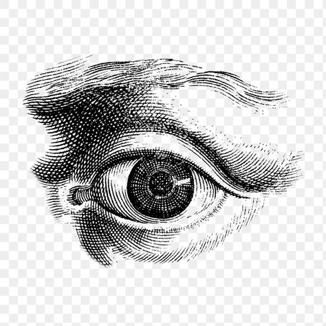 Human eye monochrome design element | premium image by rawpixel.com Eye Png, Eye Illustration, Vintage Png, Engraving Illustration, Cross Hatching, Monochrome Design, Human Eye, Creative Images, Eye Art