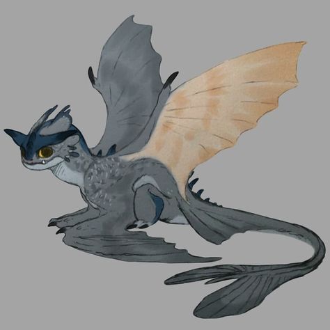 ||SAVACH_P.dummy🌿 on Instagram: “This two had a girl, say hi to Sky Darning. A hibryd Stormcutter and Lightfury, a Lightcutter” Dart Httyd Art, Httyd Hybrid Dragons, Dragon Saddle Design Httyd, Httyd Drawings, Httyd Skrill, Httyd Typhoomerang, Night Fury Dragon, Httyd Art, Wings Of Fire Dragons