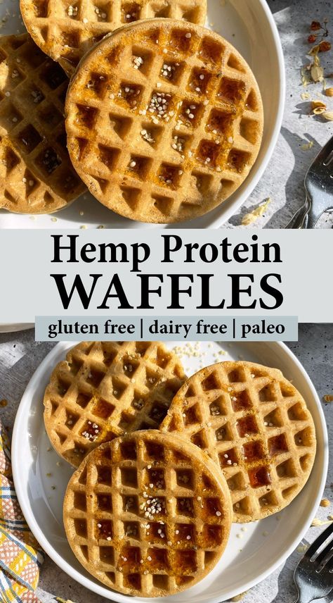 These healthy hemp protein waffles are made with almond flour and hemp protein powder. They're less than 10 ingredients and have a crispy, crunchy texture. These hemp waffles are also gluten free, dairy free and paleo. With a simple swap they can be made egg free (vegan) as well. Hemp Flour Recipes, Keto Protein Powder Recipes, Gluten Free Protein Waffles, Hemp Protein Powder Recipes, Df Meals, Sugar Free Pancakes, Almond Flour Waffles, Paleo Waffles, Df Recipes