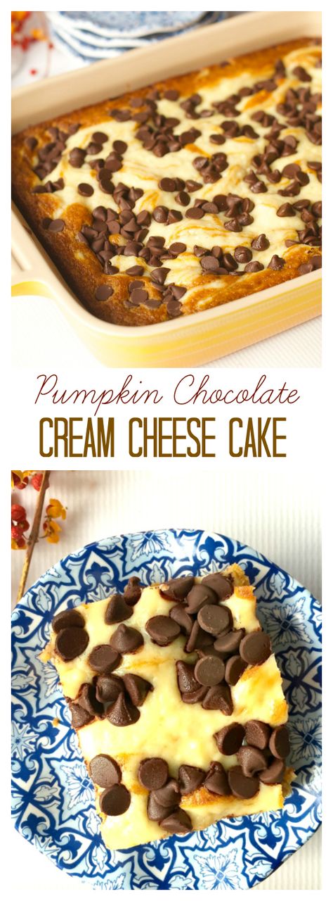 Pumpkin Chocolate Cream Cheese Cake for easy holiday entertaining Chocolate Cream Cheese Cake, Pumpkin Cake With Cream Cheese, Cake With Cream Cheese Filling, Cheese Pumpkin, Pumpkin Cream Cheeses, Chocolate Cream Cheese, Pumpkin Chocolate Chips, Soften Cream Cheese, Cake With Cream Cheese