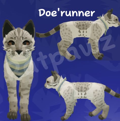 Warrior cat oc inspo Roblox Warrior Cats Ultimate Edition Oc Ideas, Warrior Cat Ultimate Edition Oc, Warrior Cats Roblox Morphs Ideas Free, Warrior Cats Ultimate Edition Morph Ideas, Roblox Lions Pride Oc, Warrior Cats Oc Design Roblox Ideas, Warrior Cats Oc Ideas Roblox Free, Warrior Cats Roblox Morphs Ideas, Warrior Cats Ultimate Edition Oc Ideas