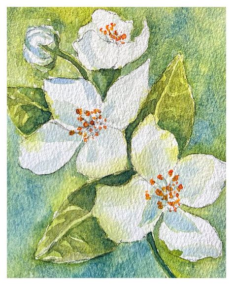 Jasmine flower painted with watercolor on 300gsm paper #watercolorflowers #art #jasmineflower #watercolor #watercolorfloral Jasmine Art Flower, Jasmine Watercolor Flowers, Jasmine Flower Drawing Art, Jasmine Flower Painting, Jasmine Flower Art, Jasmine Flower Drawing, Jasmine Painting, Human Collage, Jasmine Watercolor