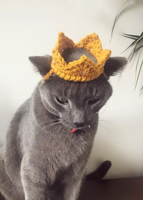 Crochet pattern 059 - Crown for Cat, Crown for Small Dog, Pet Costumes, Birthday Cat Costume, Animal photo prop, Hats for cats, Cat Crown, 2023 Crochet, Keychain Designs, Crochet Cat Hat, Birthday Cat, Small Crochet, Cat Costume, Handmade Keychain, Fun Crochet Projects