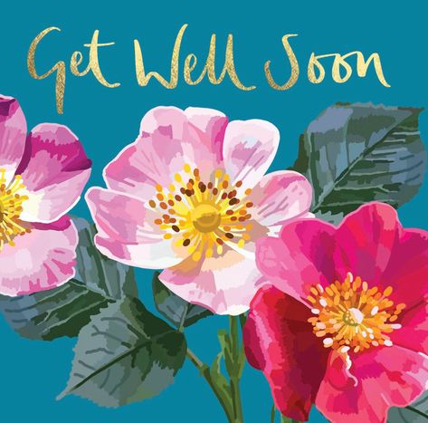 Seems like the dreaded lurgy is doing the rounds again. If you're feeling a little under the weather, get well soon! #getwellsooncard #floralcards #floralcardsuk #occasioncards #greetingscards Get Well Soon Flowers, Get Well Soon Messages, Get Well Messages, Get Well Quotes, Feel Better Quotes, Healing Thoughts, Happy Birthday Wishes Photos, Get Well Wishes, American Holiday