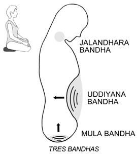 Hata Yoga, Frases Yoga, Yoga Ashtanga, Ashtanga Vinyasa Yoga, Yoga Kundalini, Yoga Vinyasa, Yoga Anatomy, Yoga Beginners, Sup Yoga