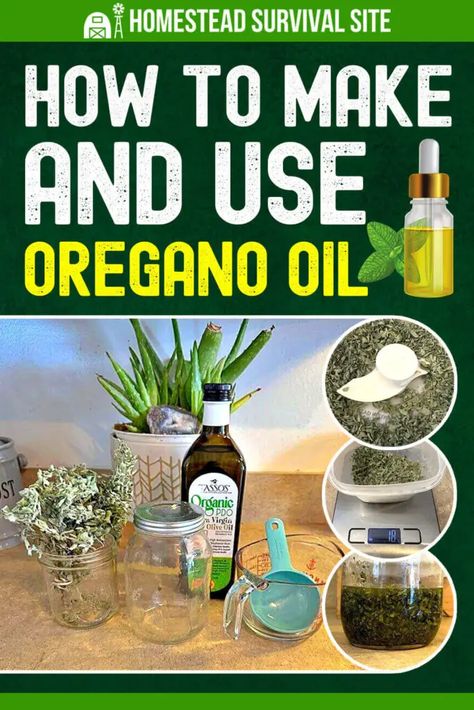 Organic Oregano Oil, Benefits Of Oregano, Oregano Recipes, Oregano Oil Benefits, Medicinal Oils, Herbal Remedies Recipes, Oregano Essential Oil, Homemade Oil, Oregano Oil