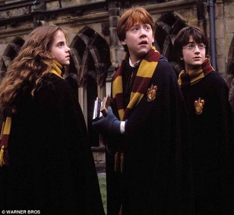 JK Rowling writing three new films based on Harry Potter series ... Ava Clements, Ron And Harry, Harry Potter Ron, Neville Longbottom, Images Harry Potter, Rupert Grint, Ron And Hermione, Golden Trio, Harry Potter Pictures