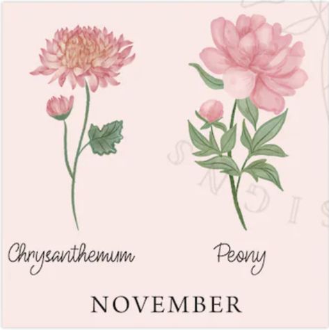 Chrysanthemum Peony Tattoo, November Flower Tattoo Birth Month, Chrysanthemum And Peony Tattoo, November Things, November Flowers, Sleeping Beauty Wedding, Peony Flower Tattoos, November Flower, Birthday Month Flowers