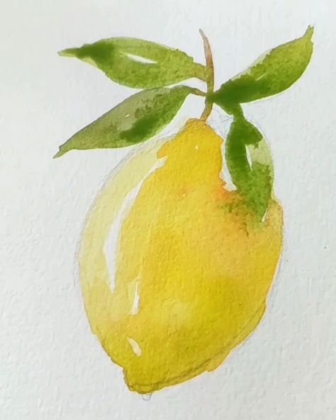 Art Easy Watercolor, Watercolor Art For Beginners Simple, Watercolor Art Easy, Watercolor Art For Beginners, Lemon Watercolor, Watercolor Art Landscape, Art For Beginners, Simple Watercolor, Watercolor Food