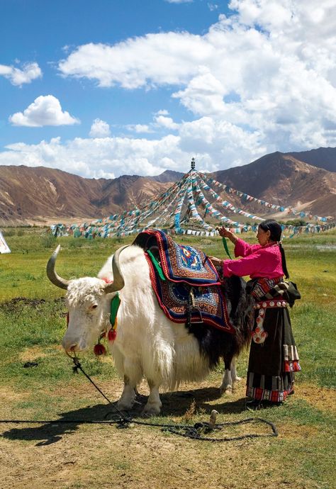 Tibet Photography, Lhasa Tibet, Tibet Travel, Potala Palace, Nepal Culture, Us Friends, The Pilgrims, The Dalai Lama, Nepal Travel