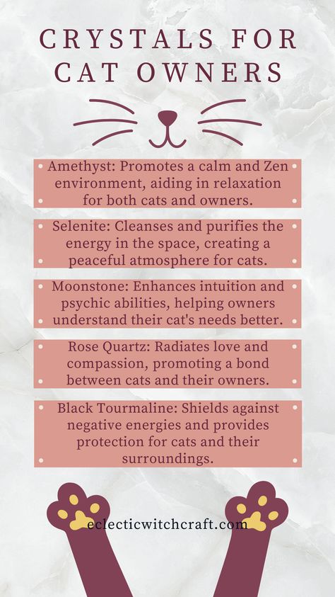 Discover the power of crystals in enhancing your cat's well-being and creating a harmonious environment. Explore the top 10 purr-fect crystals for cat owners, from soothing amethyst to protective black tourmaline. Embrace the magic and deepen the bond with your feline companion! Cat Healing Spell, Cats And Witchcraft, Cats Healing Powers, Crystals For Cats, Crystals For Pets, Pet Magic, Cat Energy, Crystal Magick, Eclectic Witchcraft