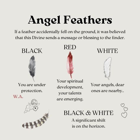 Feather Signs From Angels, Divine Angel, Angel Communication, Feather Signs, Feather Meaning, Music And The Brain, Feathered Wings, Witchcraft Spells For Beginners, Spirit Messages