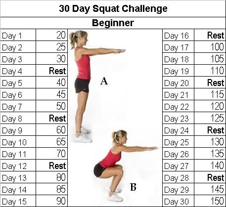 Fitness Challenge: 30 Day Squat Challenge.  A 30 day challenge for beginners to help you get that bottom you were looking for.  There is an advanced version of this one on the website. 30 Day Squat, 30 Day Squat Challenge, Squat Challenge, 30 Day Fitness, Sup Yoga, Fitness Challenge, 30 Day Challenge, Watching Tv, Workout For Beginners