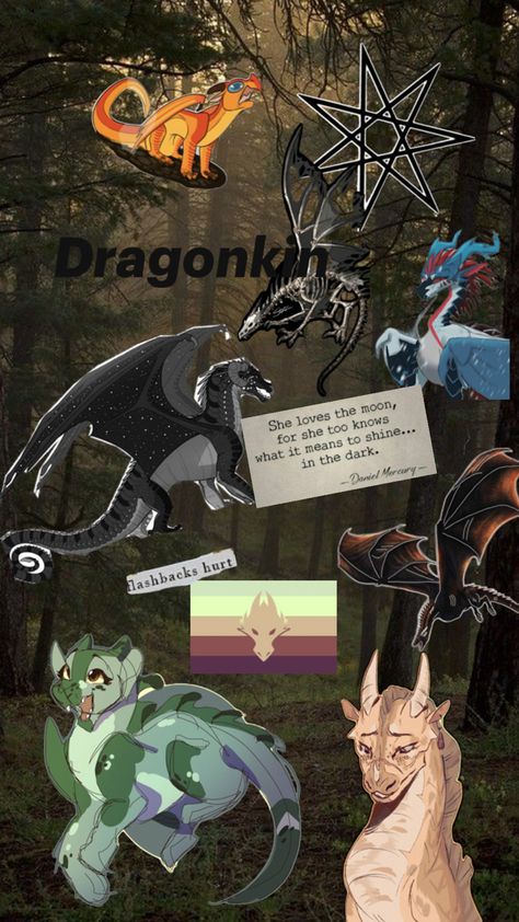 Dragon Dragonkin Aesthetic, Dragon Therian, Dragon Wallpaper Aesthetic, Dragon Wallpaper, Dragon Stuff, Therian Stuff, Night Fury, Warrior Cats, Wallpaper Aesthetic