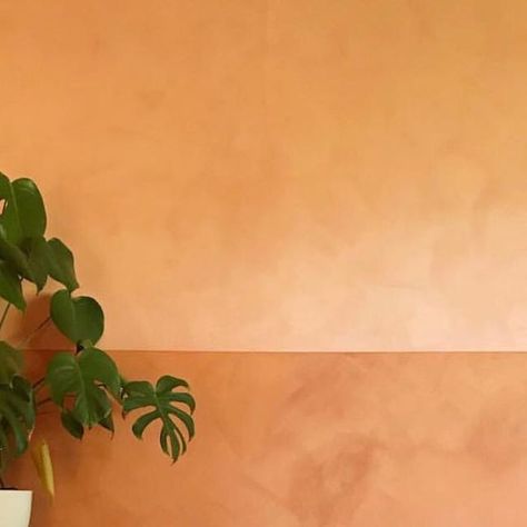 Portola Paints on Instagram: "🧡F💛R🧡I💛D🧡A💛Y🧡  El Coyote — Potters Clay — Lime Wash 🔥 @ruemagazine / @katmceachern  #LimeWashEverything #portolapaints #limewash #ruemagazine #decor #interiordesign" Peach Feature Wall, Dusty Rose Limewash, Olive Limewash, Lime Paint Interior, Terracotta Limewash Bedroom, Clay Walls Interior, Lime Wash Kitchen Walls, Terra Cotta Limewash, Red Limewash Wall