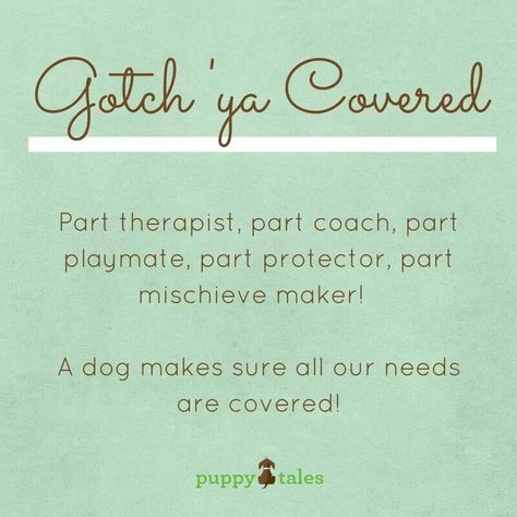 Gotcha Gotcha Day Quotes, Dog Gotcha Day, Happy Dog Quotes, Puppy Quotes, Gotcha Day, Day Quotes, Im Crazy, Dog Quotes, Happy Dogs