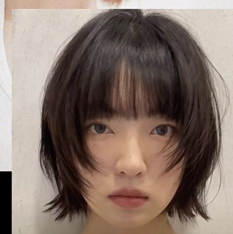 Japanese Style Short Hair, Japan Bob Hair, Ear Length Hair Round Face, Short Hime Cut With Bangs, Short Haircut Japanese, Side Bangs Short Hair Round Face, Layered Bob Asian, Japanese Short Hair With Bangs, Short Japanese Hair